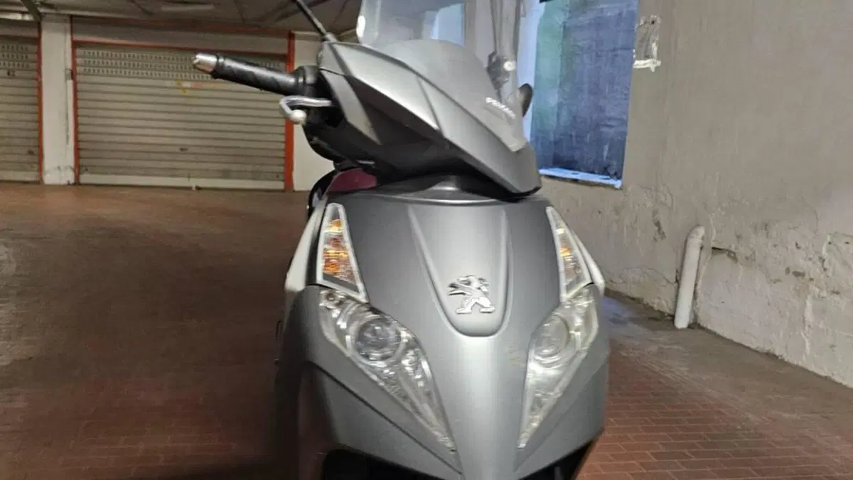 Peugeot Geopolis 300 (2013 - 15)  (7)