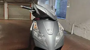 Peugeot Geopolis 300 (2013 - 15)  (7)