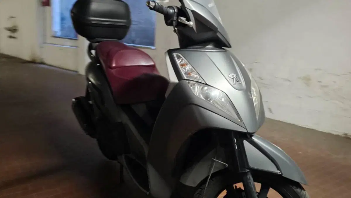 Peugeot Geopolis 300 (2013 - 15)  (8)