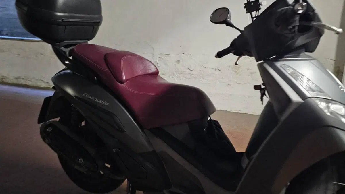 Peugeot Geopolis 300 (2013 - 15)  (10)
