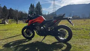 KTM 790 Duke L (2023 - 24)  (2)