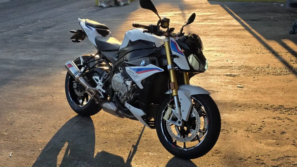 Bmw S 1000 R (2017 - 20) 