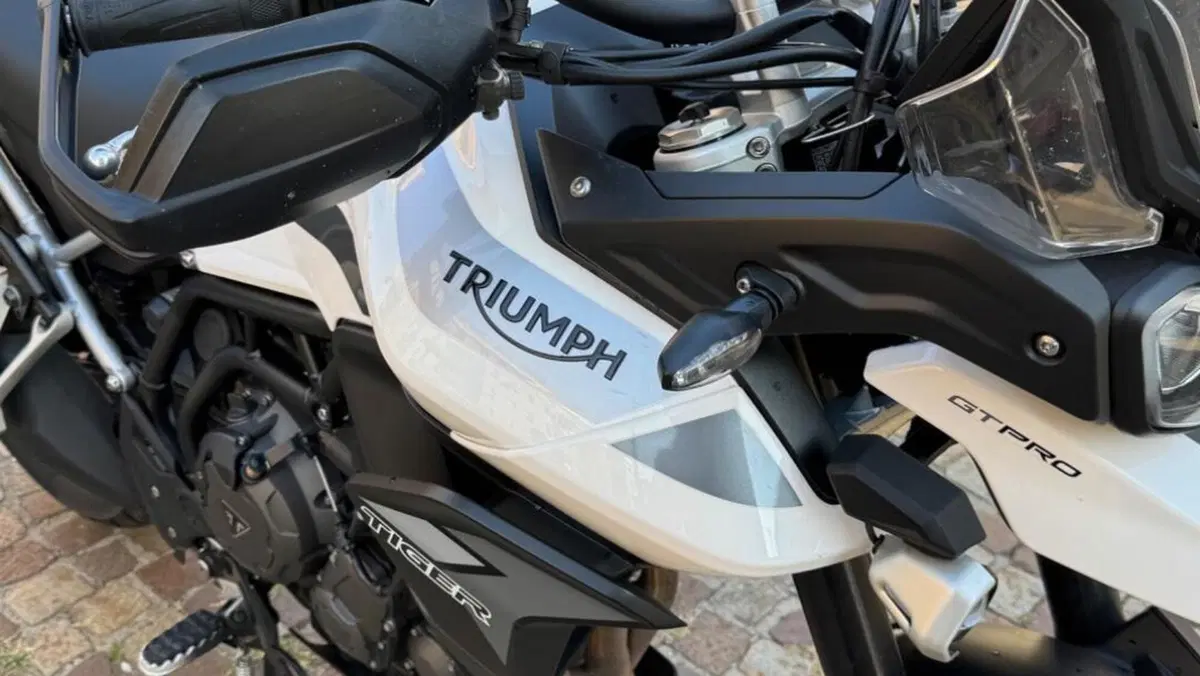 Triumph Tiger 900 GT Pro (2020 - 23)  (6)