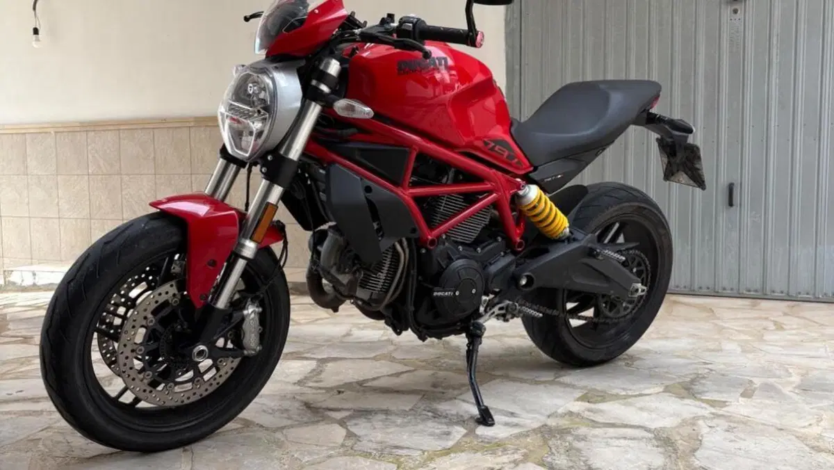 Ducati Monster 797 Plus (2019)  (3)