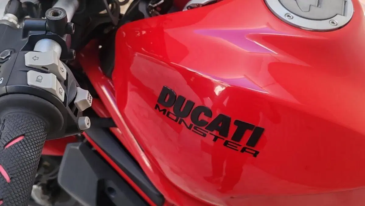 Ducati Monster 797 Plus (2019)  (4)