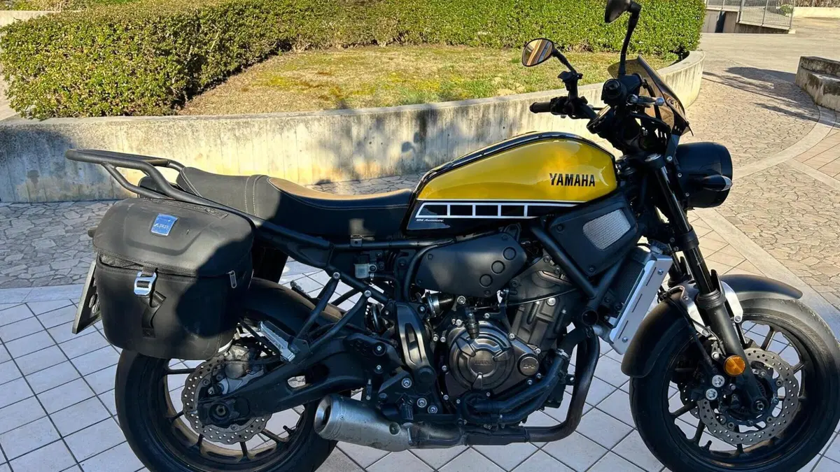 Yamaha XSR 700 ABS 60th Anniversary (2016 - 18)  (5)