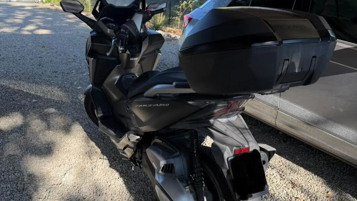 Honda Forza 350 Deluxe (2022 - 24)  (3)