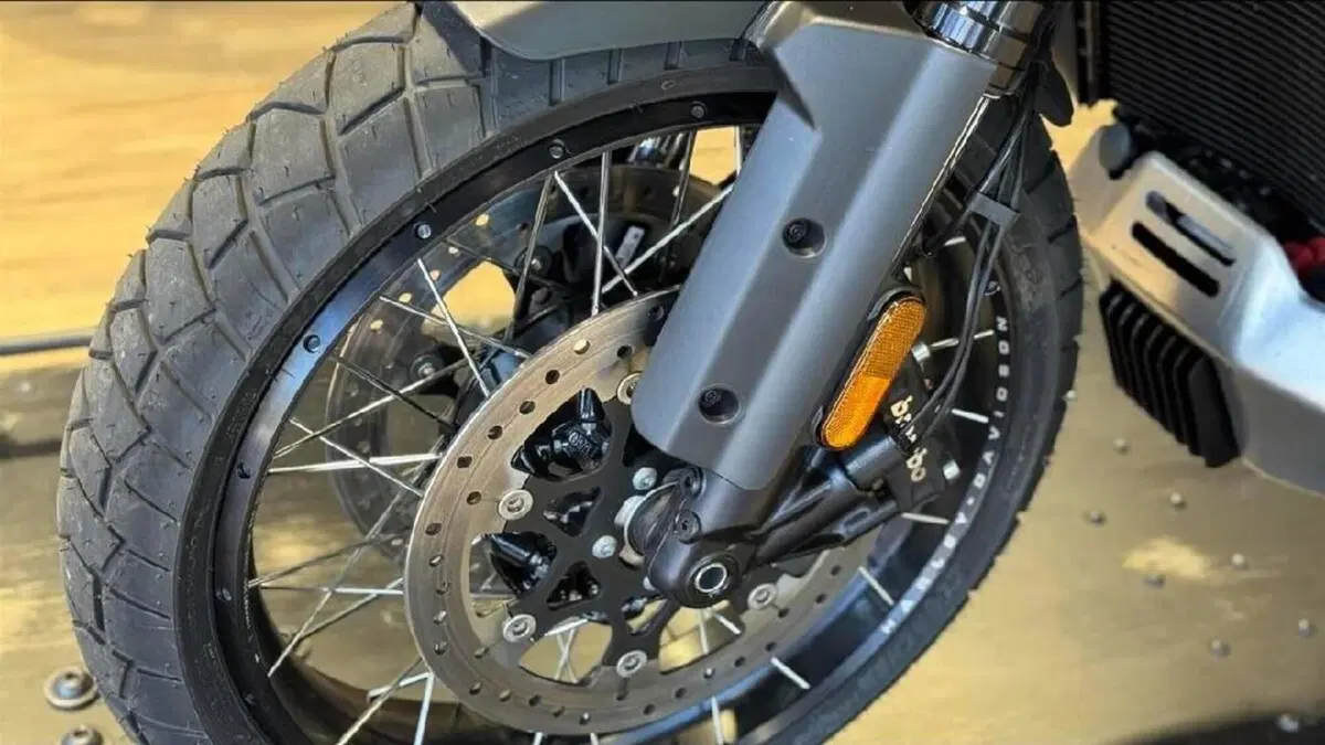 Harley-Davidson Pan America 1250 Special (2020 - 25)  (3)