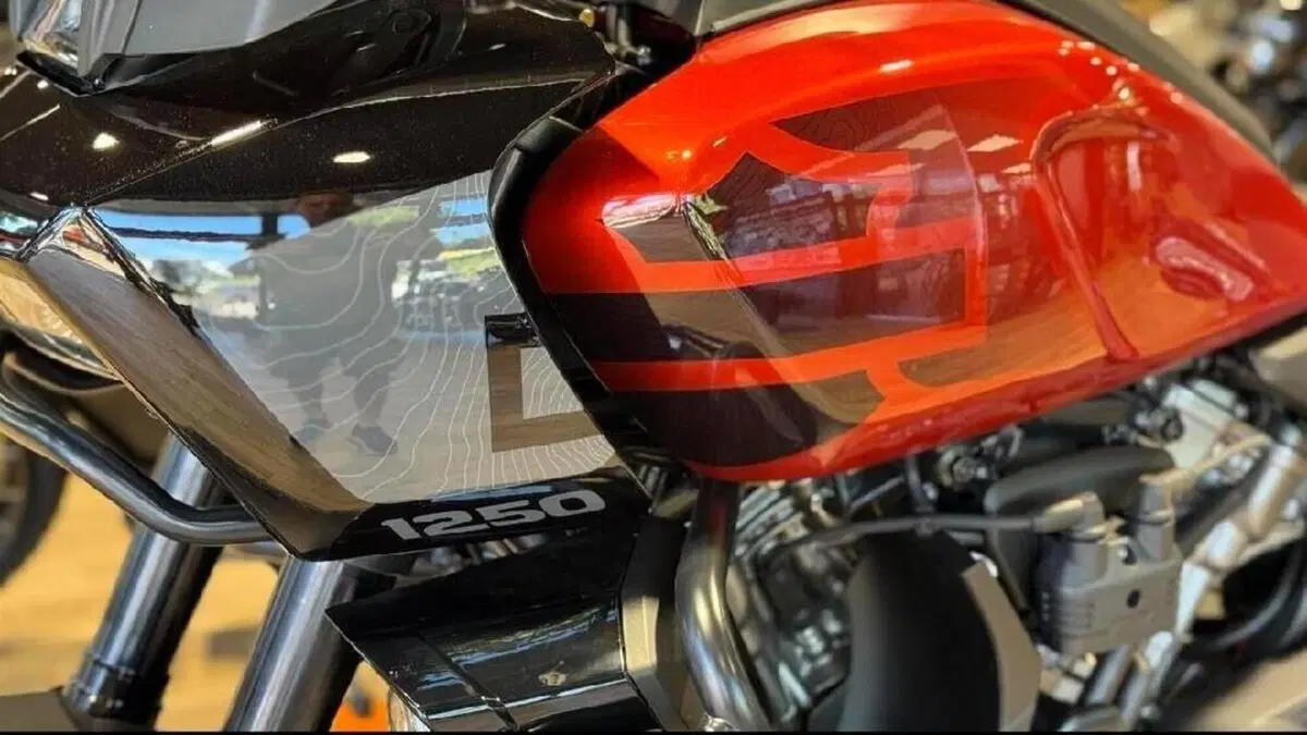 Harley-Davidson Pan America 1250 Special (2020 - 25)  (4)