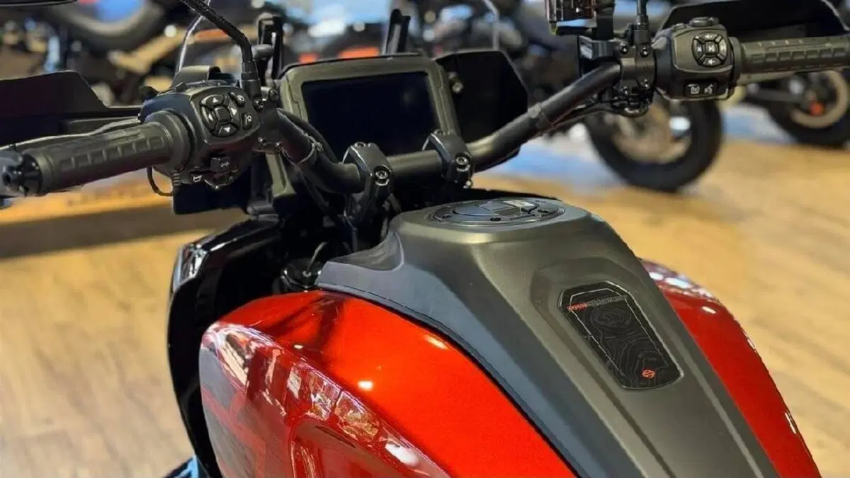 Harley-Davidson Pan America 1250 Special (2020 - 25)  (5)