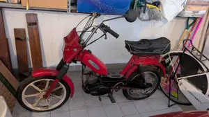 Garelli  