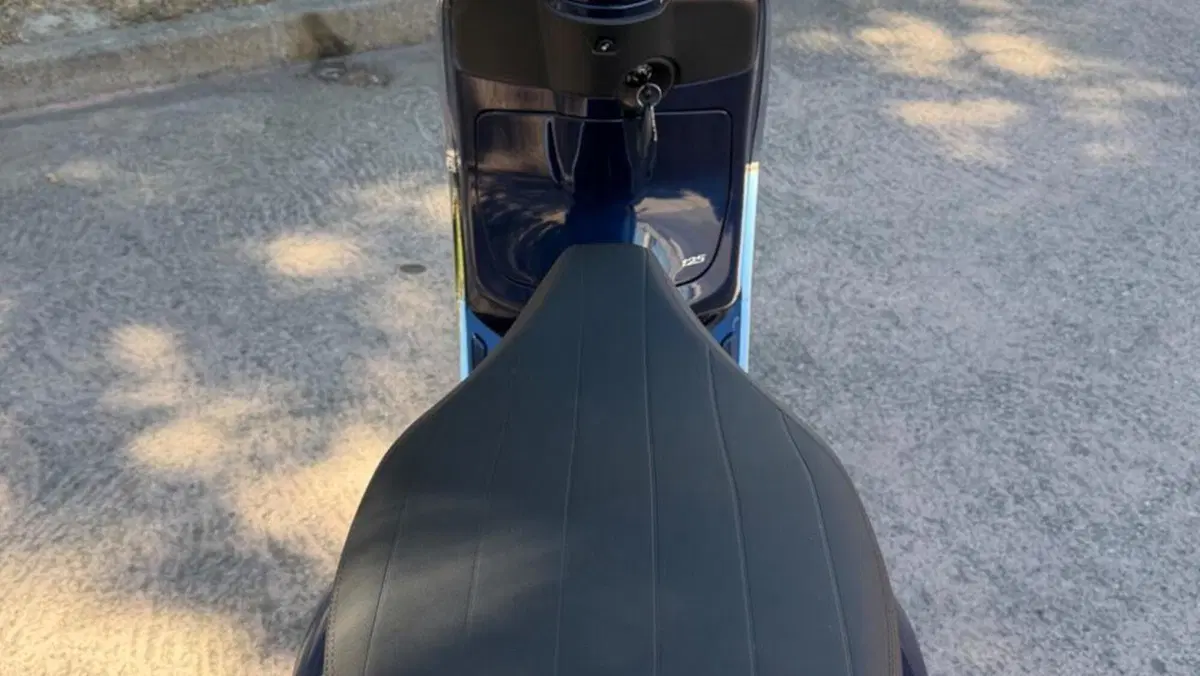 Vespa Primavera 125 (2024 - 25)  (9)