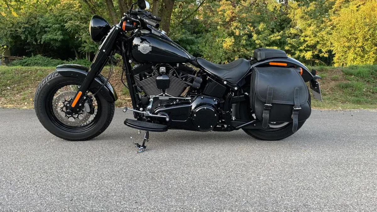 Harley-Davidson 1800 Slim S (2015 - 17) - FLS  (2)