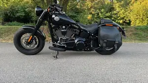 Harley-Davidson 1800 Slim S (2015 - 17) - FLS  (2)