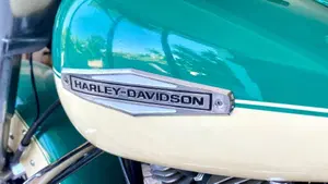 Harley-Davidson   (4)