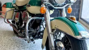Harley-Davidson   (6)