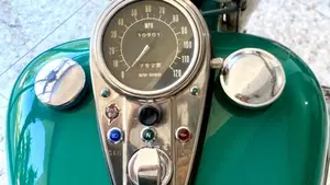 Harley-Davidson   (9)