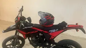 Betamotor RR 50 Motard Sport (2021 - 26)  (4)