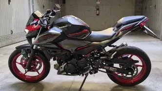 Kawasaki Z 500 SE (2024 - 27)