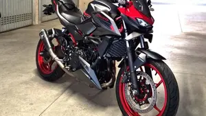 Kawasaki Z 500 SE (2024 - 27)  (3)