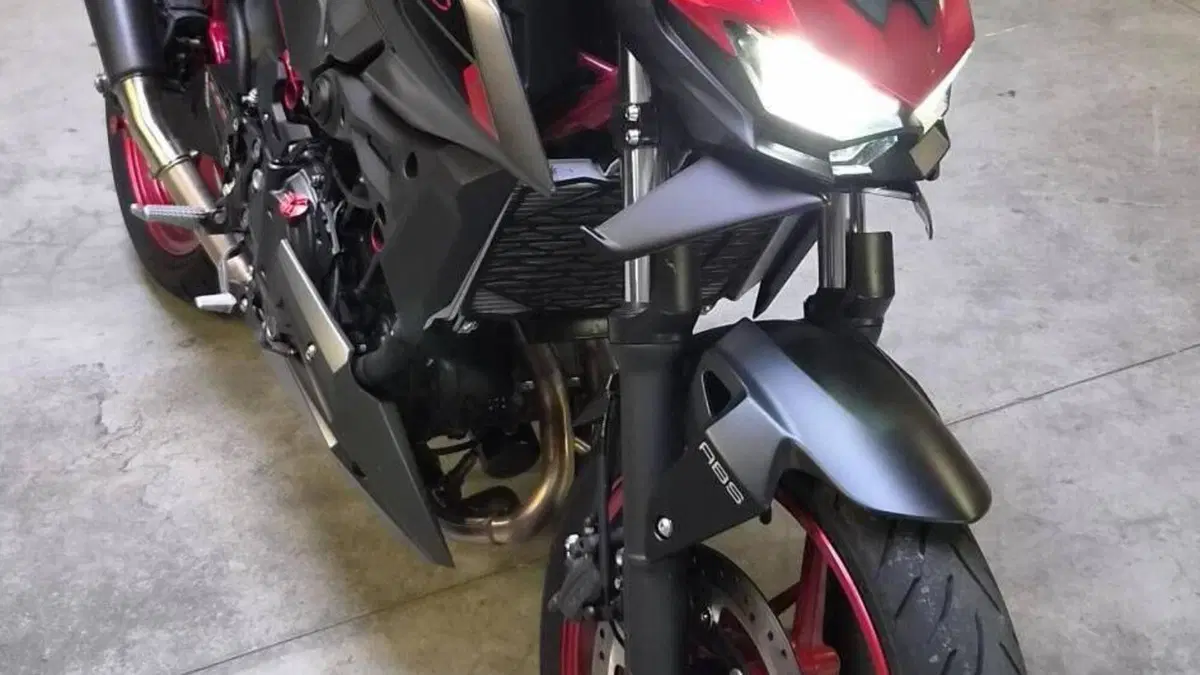 Kawasaki Z 500 SE (2024 - 27)  (5)