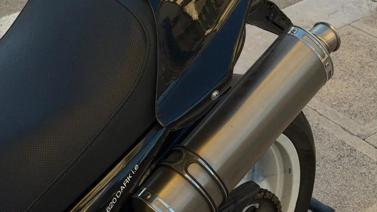 Ducati Monster 620 Dark (2003 - 06)  (6)