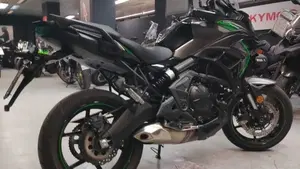 Kawasaki Versys 650 (2025 - 27)  (7)
