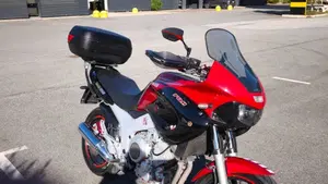 Yamaha TDM 850 (1996 - 01)  (7)