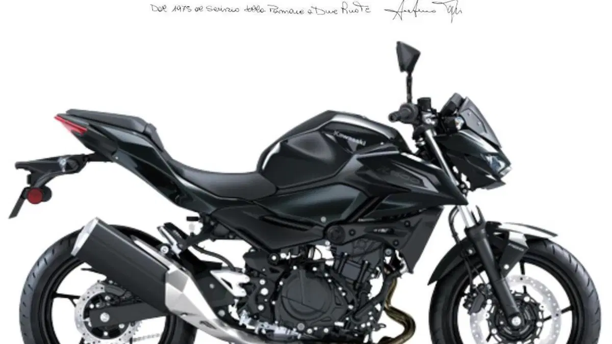 Kawasaki Z 500 (2024 - 27) 