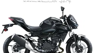 Kawasaki Z 500 (2024 - 27) 