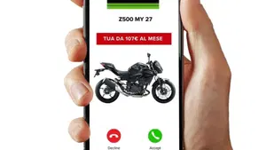Kawasaki Z 500 (2024 - 27)  (3)