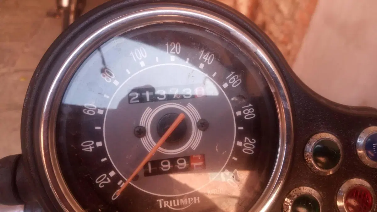 Triumph Bonneville 800 (2002 - 07)  (2)