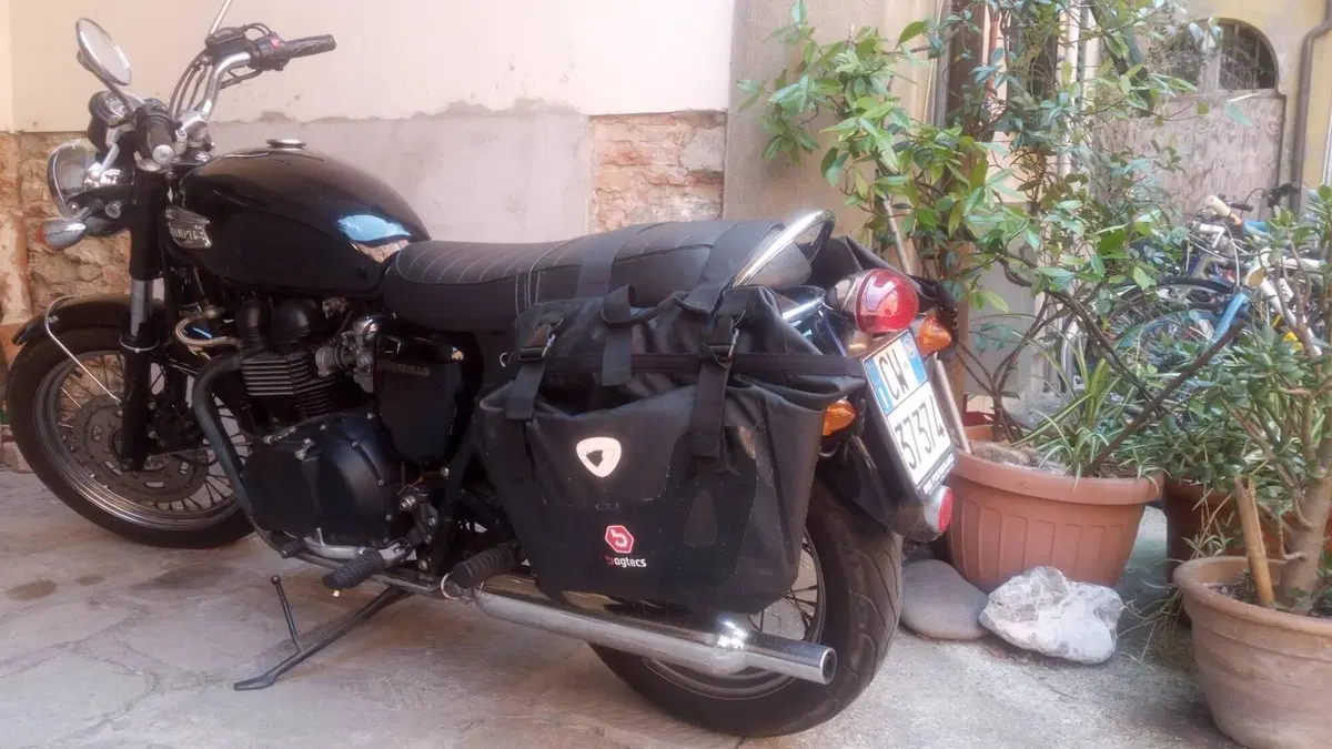 Triumph Bonneville 800 (2002 - 07)  (3)