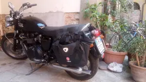 Triumph Bonneville 800 (2002 - 07)  (3)