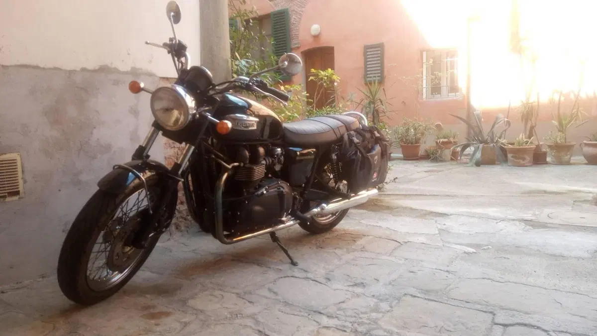 Triumph Bonneville 800 (2002 - 07)  (4)