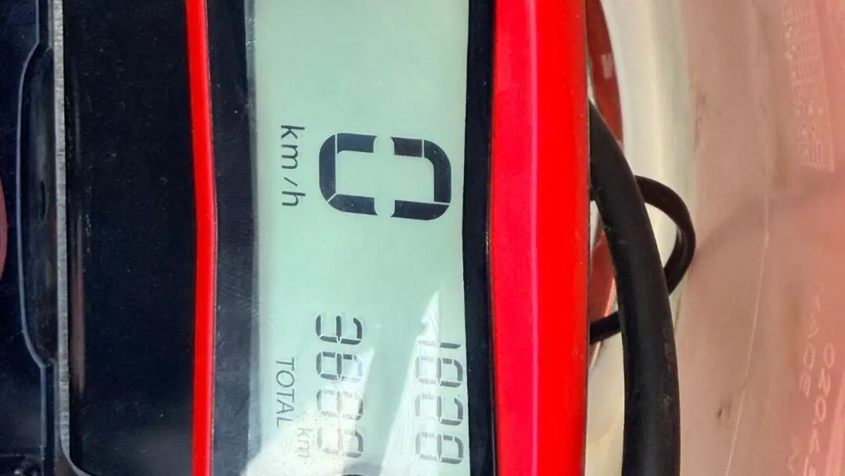 Betamotor Xtrainer 300 2t (2018 - 19)  (8)