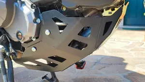 Ducati Multistrada 950 S (2019 - 20)  (5)