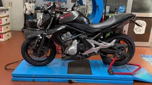 Kawasaki ER-6N (2006 - 09) 