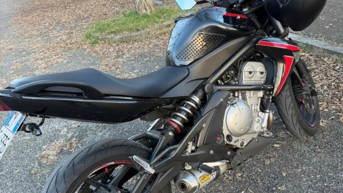 Kawasaki ER-6N (2006 - 09)  (2)