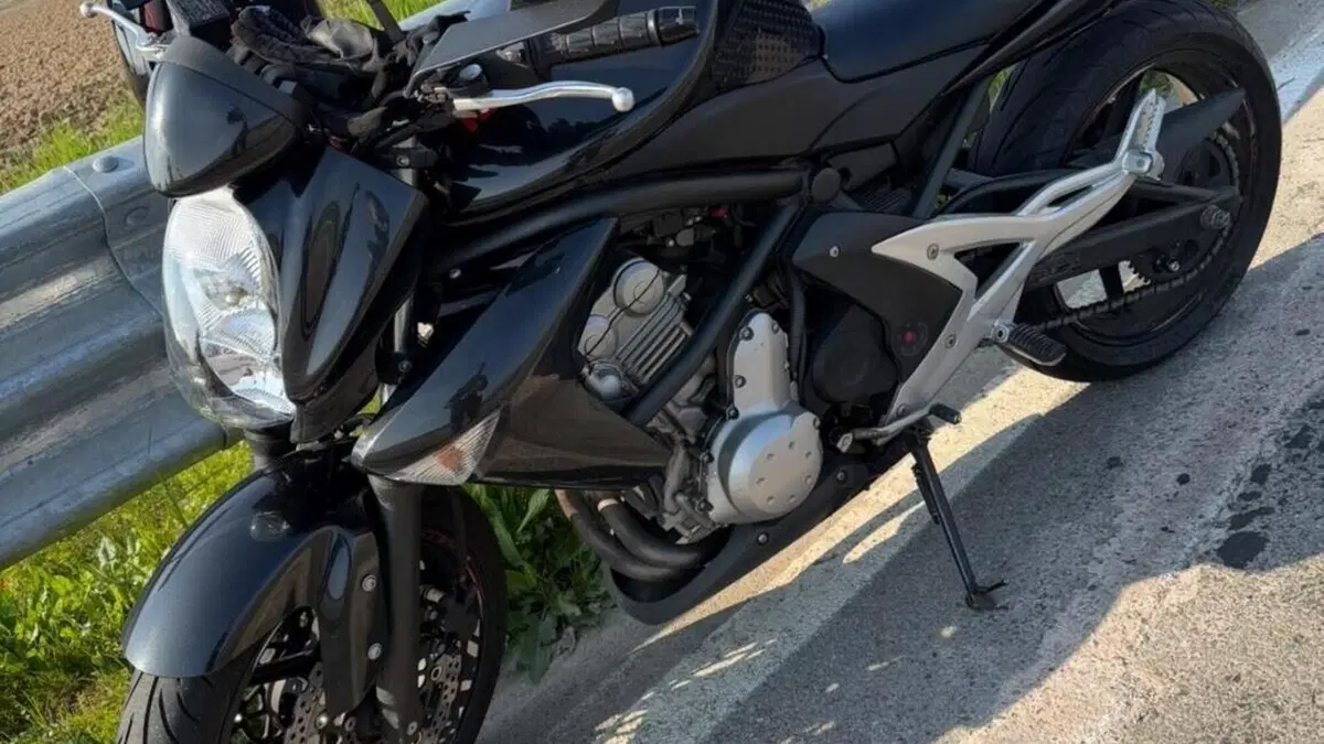 Kawasaki ER-6N (2006 - 09)  (5)
