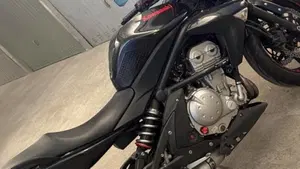 Kawasaki ER-6N (2006 - 09)  (6)