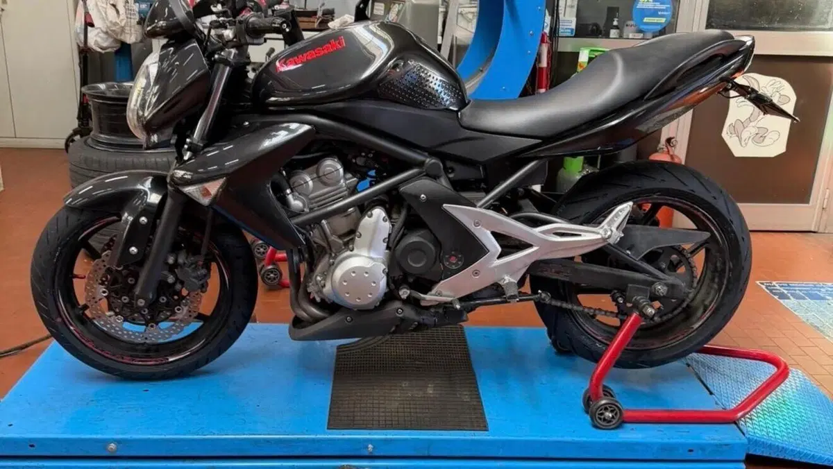 Kawasaki ER-6N (2006 - 09)  (7)
