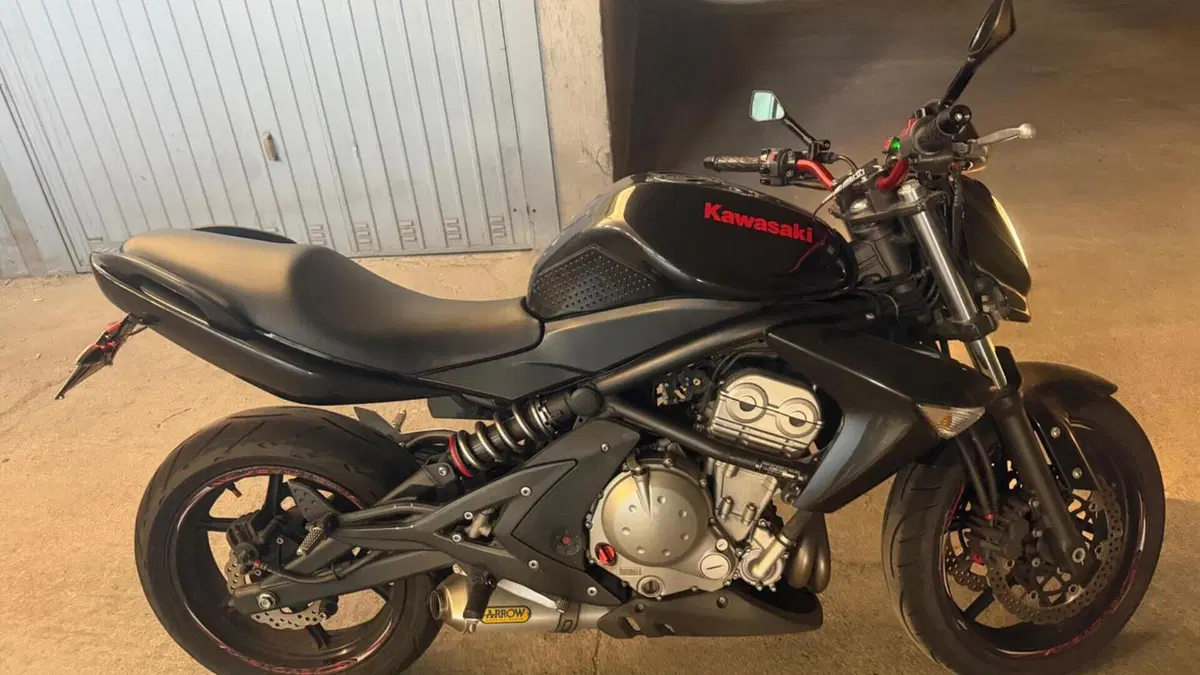 Kawasaki ER-6N (2006 - 09)  (8)