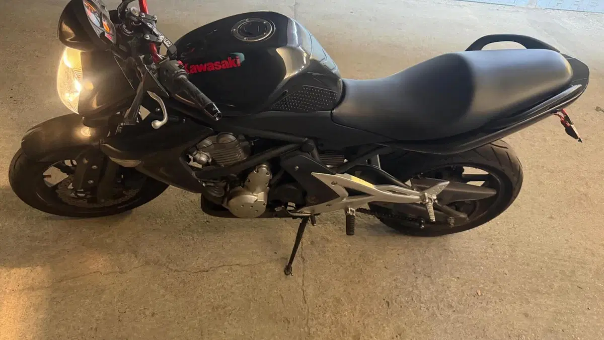 Kawasaki ER-6N (2006 - 09)  (9)