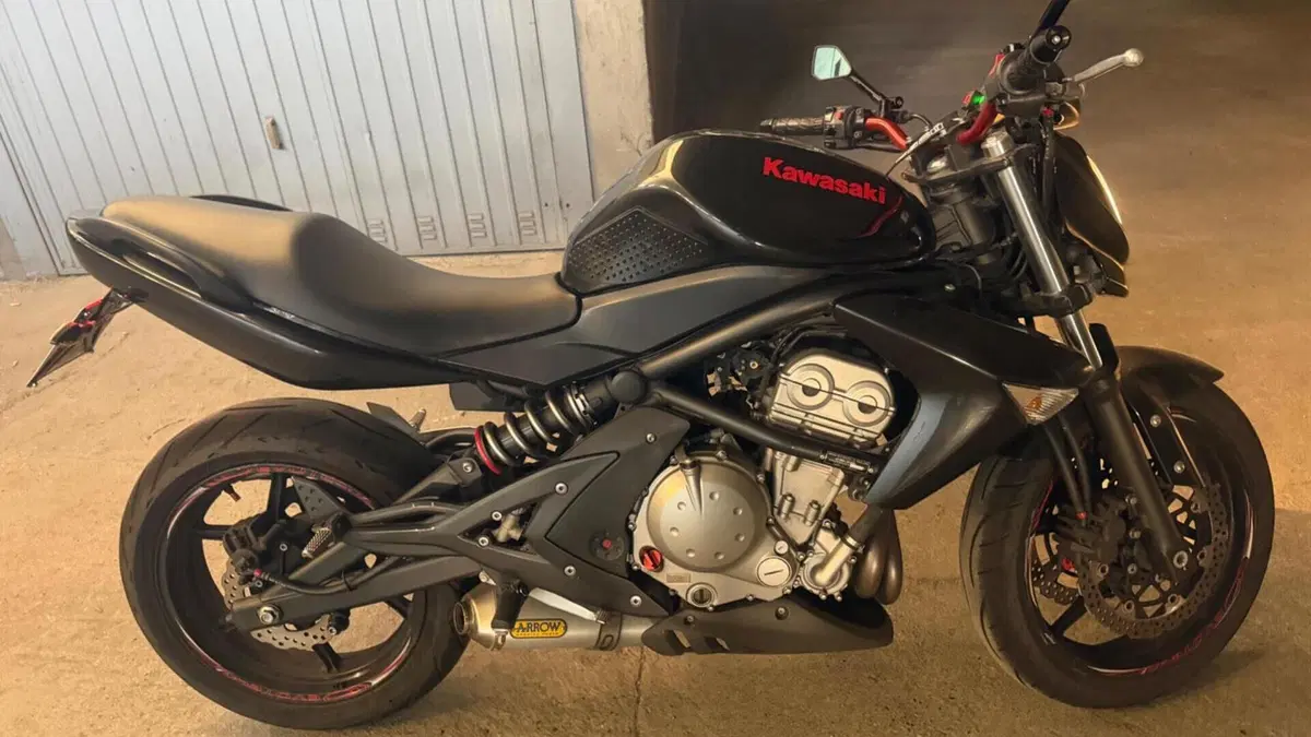 Kawasaki ER-6N (2006 - 09)  (11)
