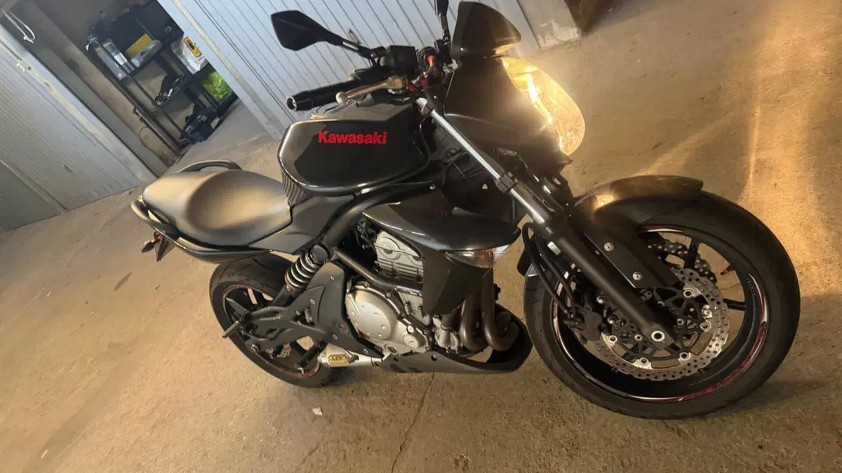 Kawasaki ER-6N (2006 - 09)  (12)