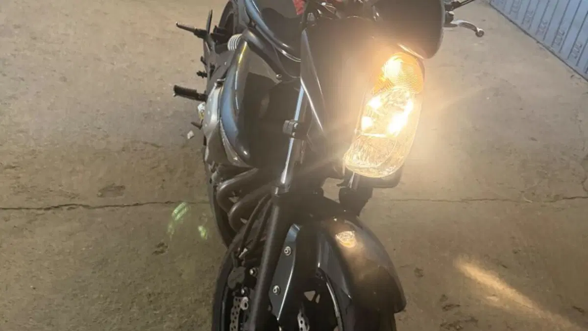 Kawasaki ER-6N (2006 - 09)  (13)