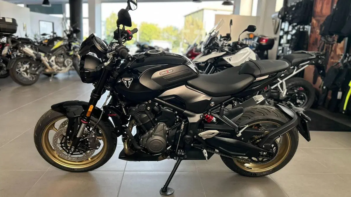 Triumph Trident 800 (2026)  (3)