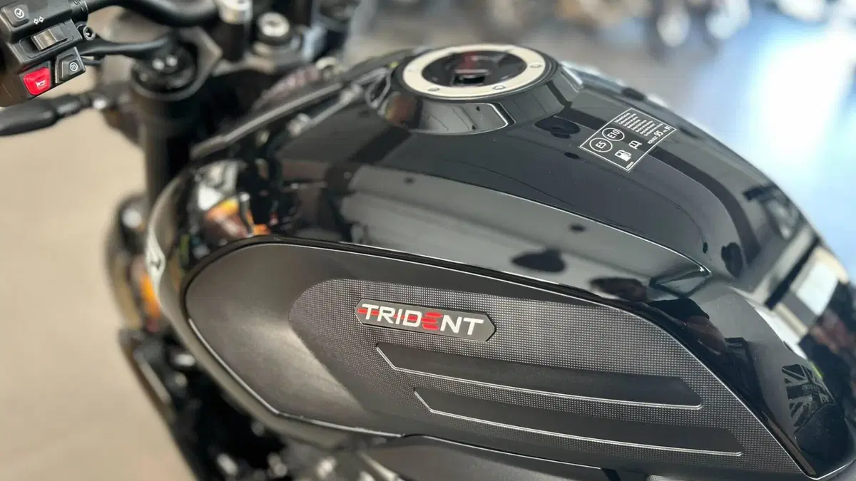 Triumph Trident 800 (2026)  (6)