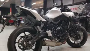 Kawasaki Z 650 (2025 - 27)  (7)